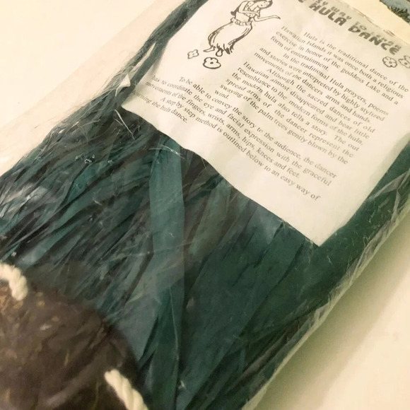 Hawaiin Hula Girl Costume With Raffia Skirt And Coconut Top Child Size Halloween - Picture 14 of 16